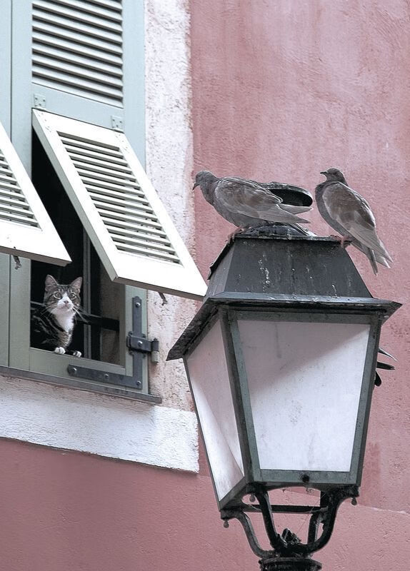 暗夜中的魔术师，压哨绝杀与天生的大场面之王