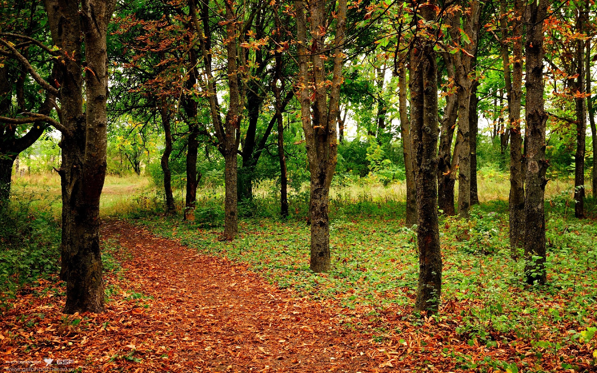 看到你的关键词,一个既能攻城拔寨又能构筑防线的全能战士形象已跃然纸上。这确实是一场值得大书特书的表演