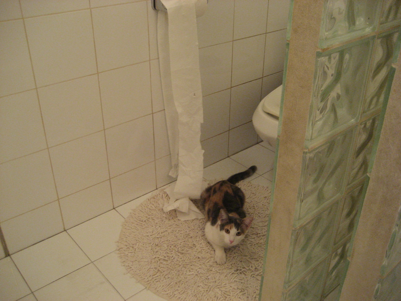 世界排名争夺战之夜,恩佐的一手掌控