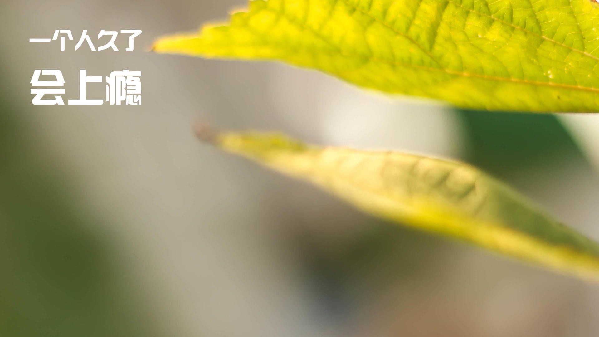 黑马奇才爆冷斩落篮网，保罗·乔治世界排名之战独揽36分