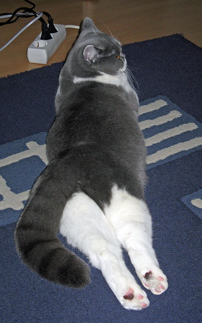 加时鏖战！莫兰特活塞首秀化身关键先生，率队险胜马刺