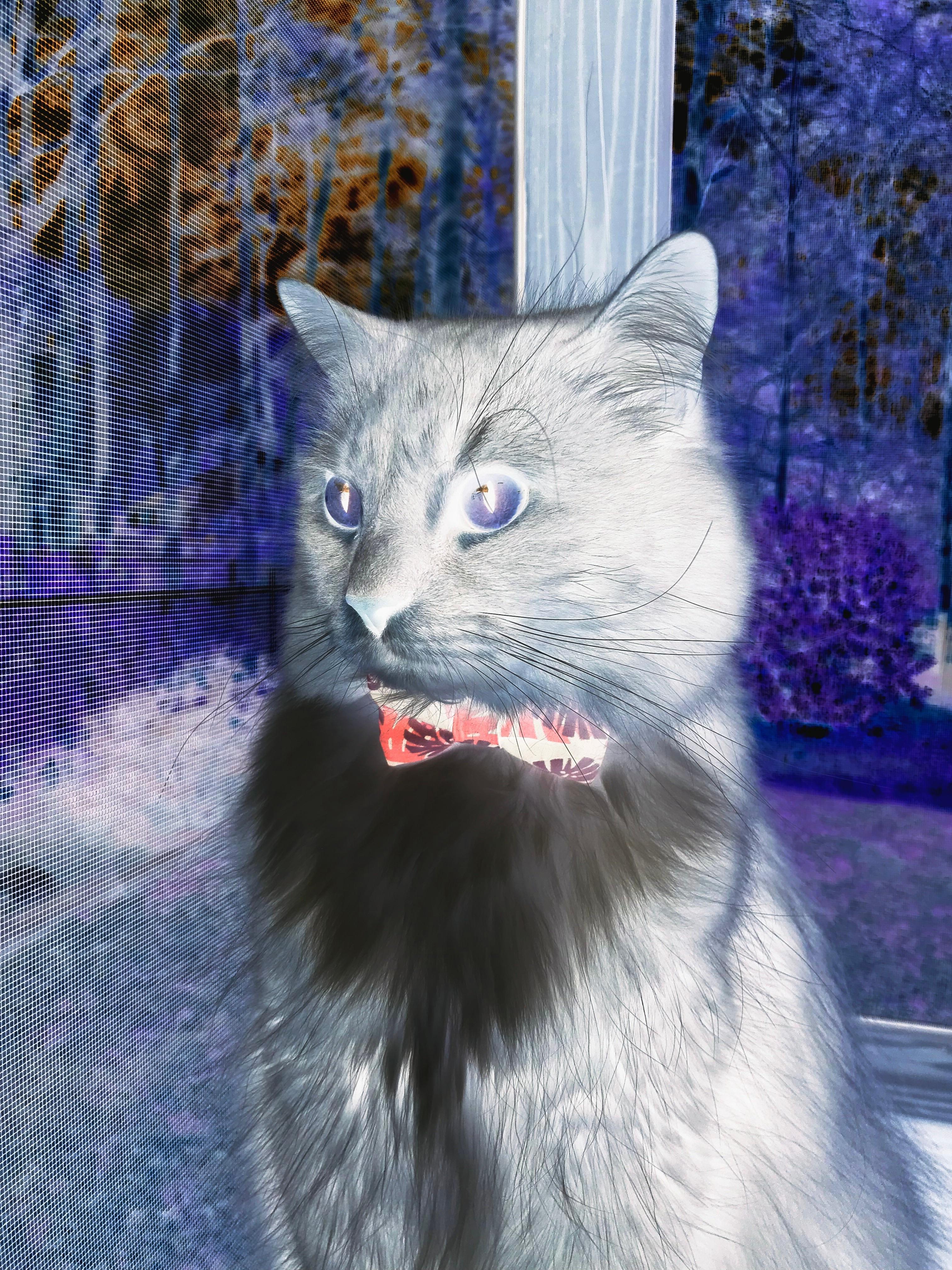 开拓者燃爆辽宁主场,当爱德华兹的火焰席卷东方赛场