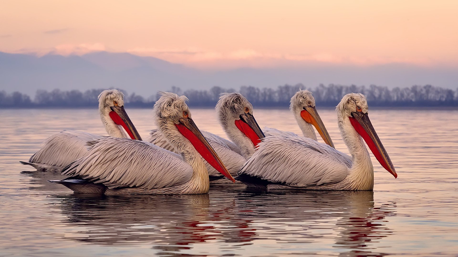 绝境逢生！乔治顶住漫天质疑，一战封神逆转绿军