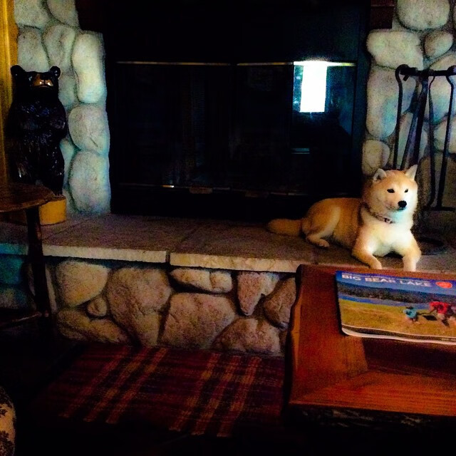 铁桶阵锁死开拓者，西亚卡姆狂砍45分创纪录，国王的新王冠由防守铸就