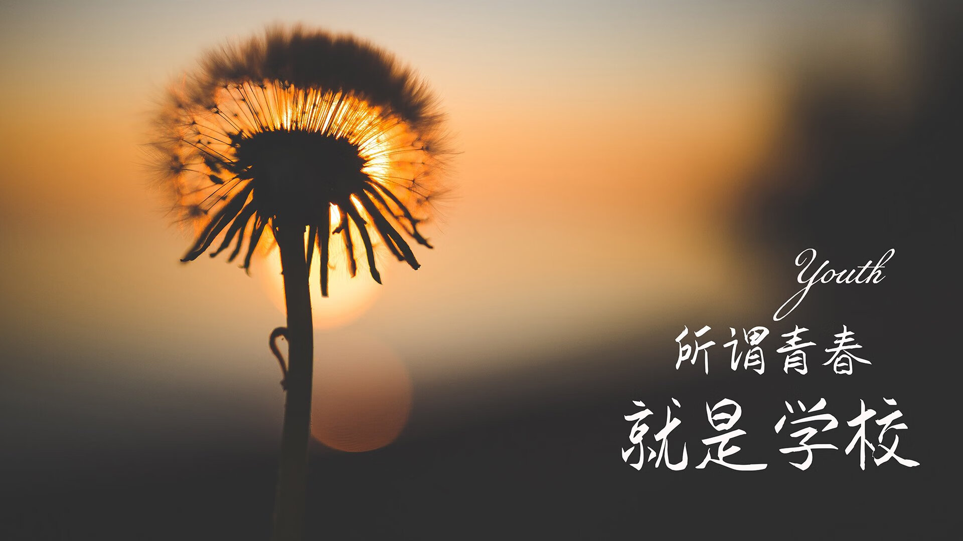 魔幻归化,哈兰德身披波兰战袍,八分之一决赛控球碾压,印度黑马梦碎2026