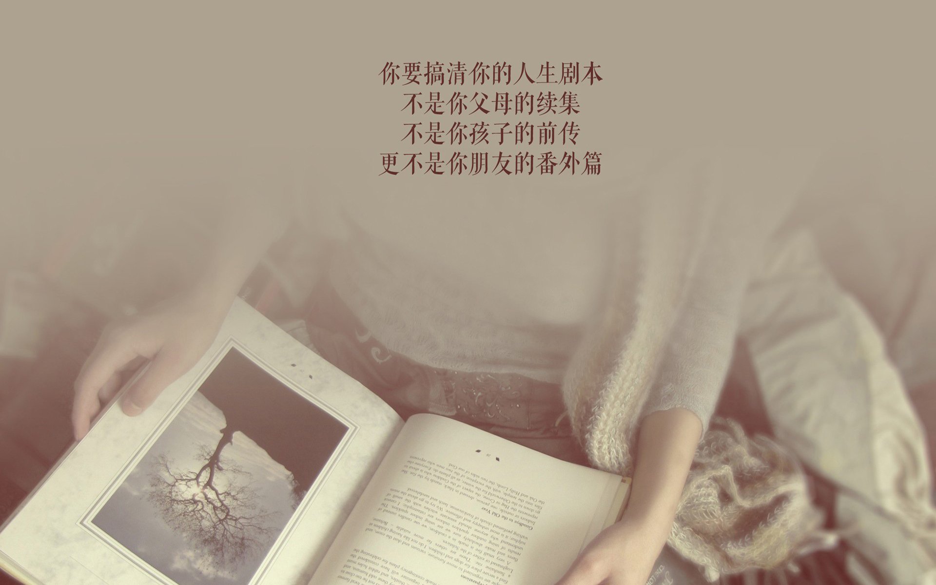 冰原上的钢铁狂潮,当挪威巨舰碾过瑞典海盗,福登在极光下加冕为王